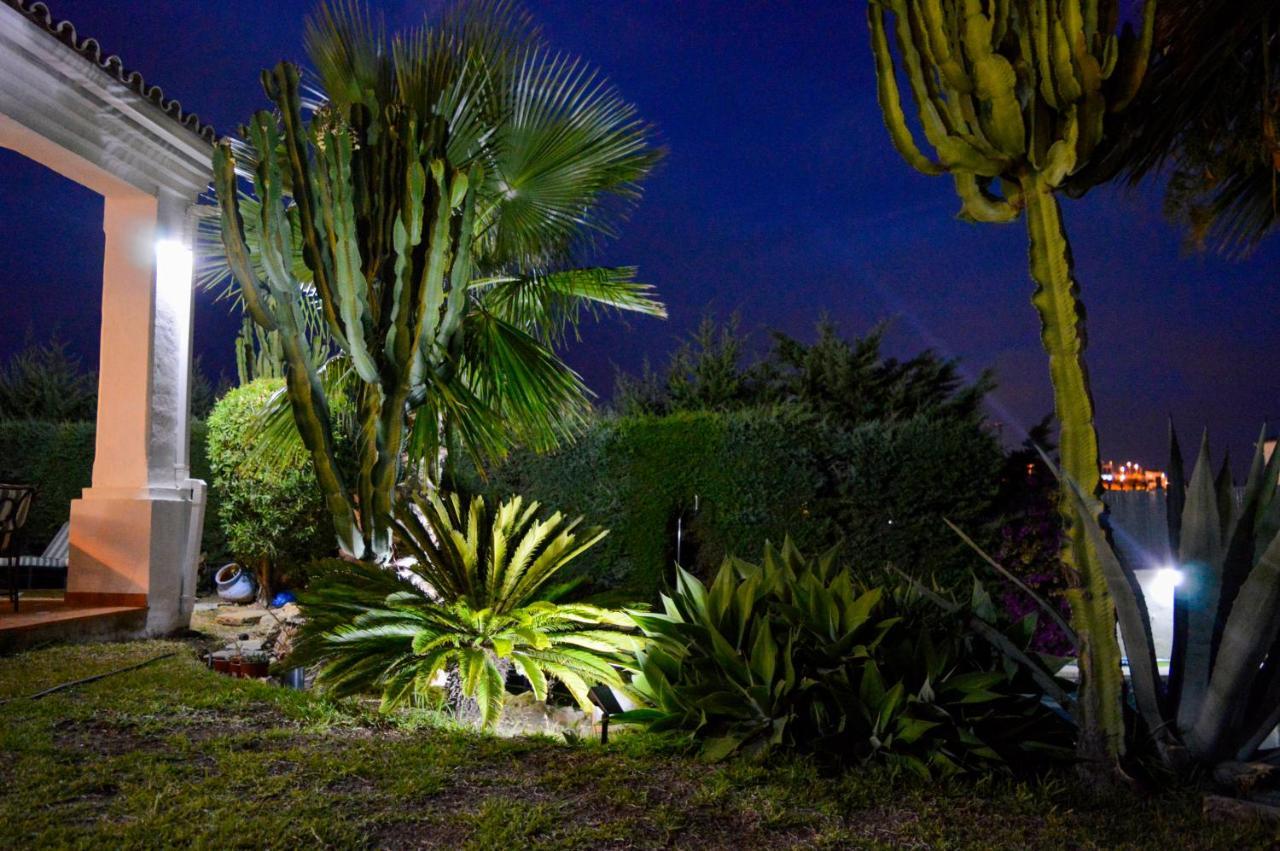 Villa Bendex Estepona Costa Del Sol エクステリア 写真